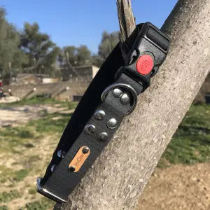 Collar perro grande con cierre de seguridad. Artesanal