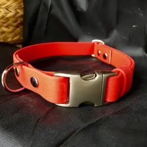 Collar para perros pequeños. Artesanal