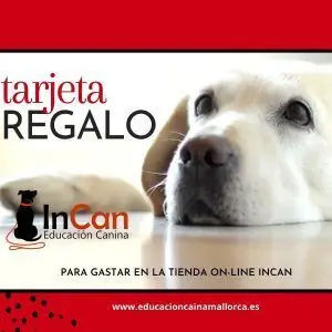 Tarjeta de regalo