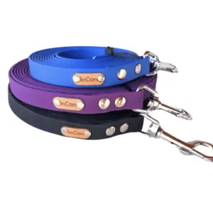 Correas para perros